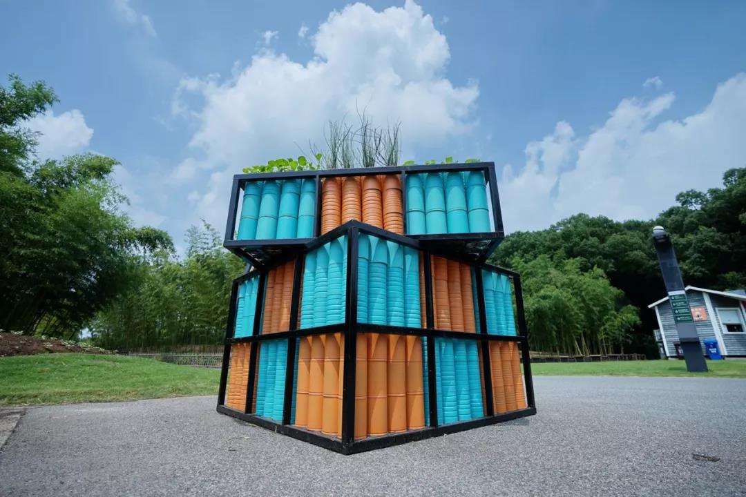 水葫芦、星光草……辰山植物园将1200个空奶粉罐变身创意植物景观(图2) 刺菜喜欢生长在哪里_刺种莕菜_刺菜什么样