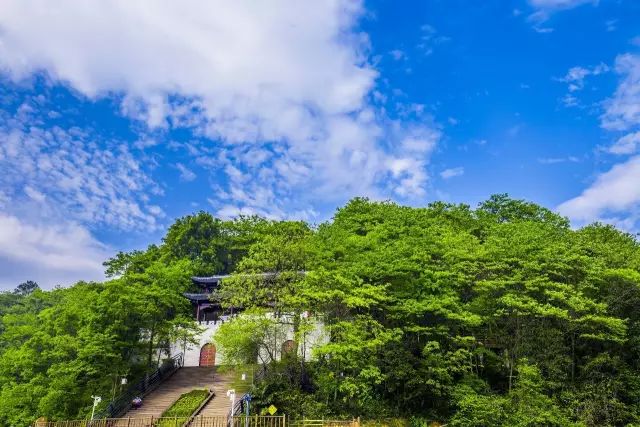 “中国最美休闲胜地”!水光潋滟,山色空蒙(图14) 九江汽车总站在哪里_九江汽车总站公交路线_九江汽车站坐几路公交车