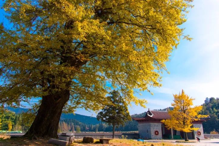 “中国最美休闲胜地”!水光潋滟,山色空蒙(图17) 九江汽车总站在哪里_九江汽车站坐几路公交车_九江汽车总站公交路线