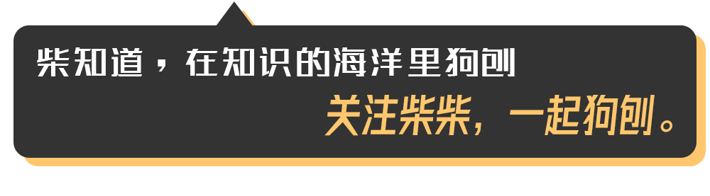 几百块和几万块的自行车有什么区别?贵的自行车贵在哪里?|图文(图1) 自行车打气大多数_死飞自行车要打气吗_自行车打气打到什么程度