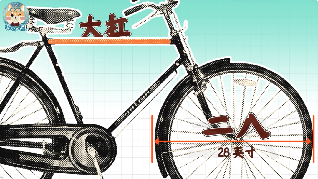 几百块和几万块的自行车有什么区别?贵的自行车贵在哪里?|图文(图2) 死飞自行车要打气吗_自行车打气打到什么程度_自行车打气大多数