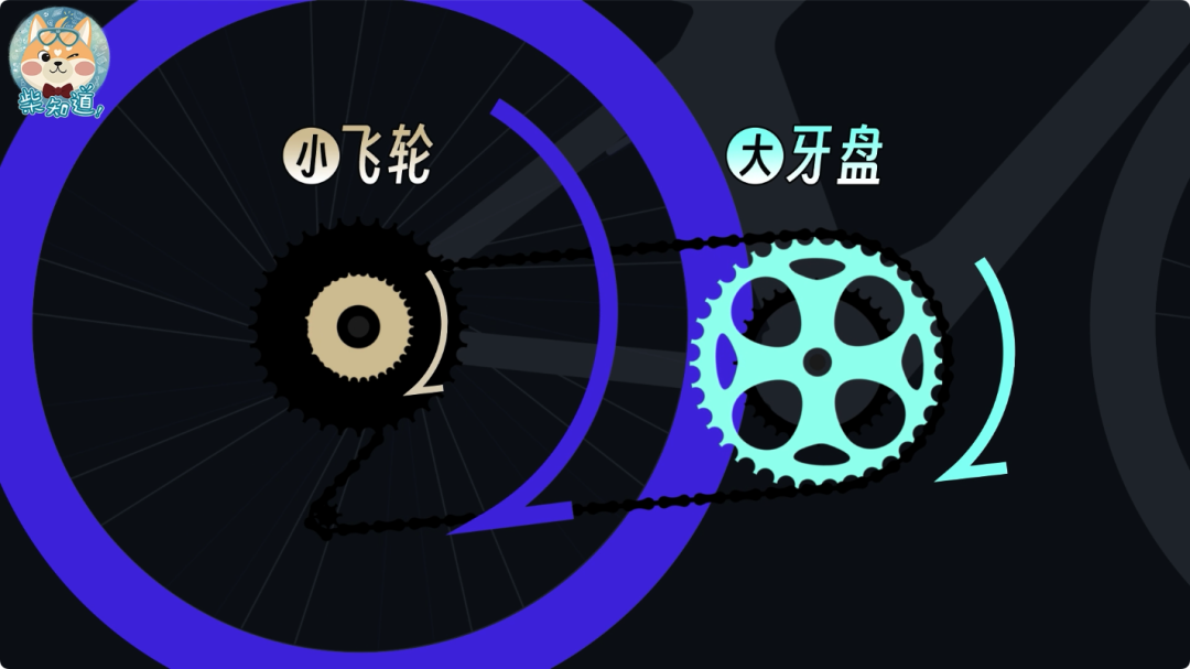 几百块和几万块的自行车有什么区别?贵的自行车贵在哪里?|图文(图14) 自行车打气大多数_死飞自行车要打气吗_自行车打气打到什么程度