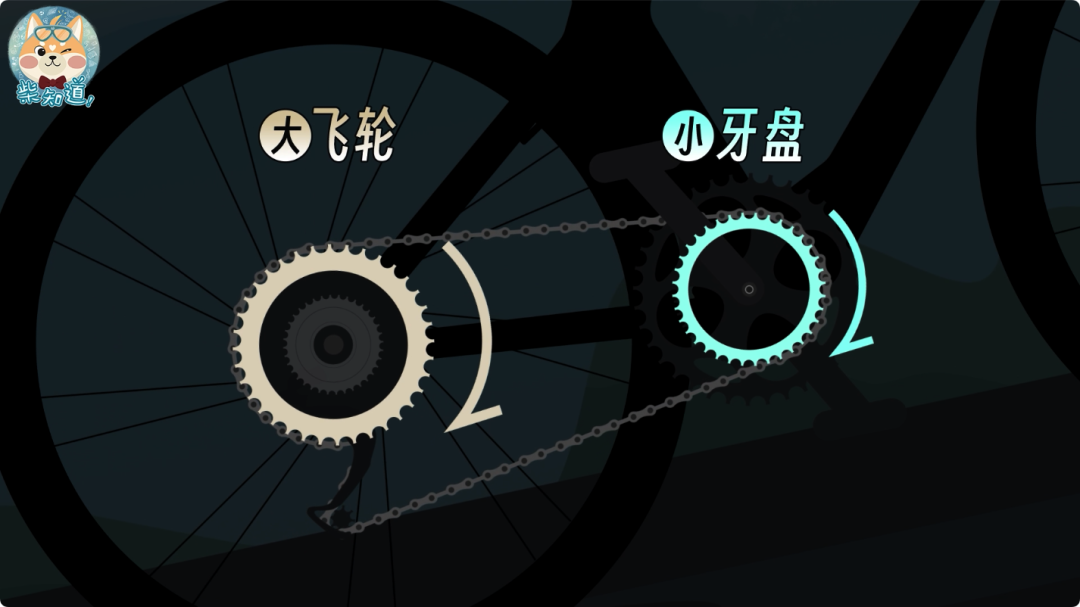 几百块和几万块的自行车有什么区别?贵的自行车贵在哪里?|图文(图15) 自行车打气打到什么程度_死飞自行车要打气吗_自行车打气大多数