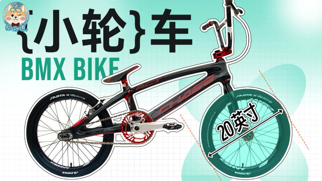 几百块和几万块的自行车有什么区别?贵的自行车贵在哪里?|图文(图18) 自行车打气打到什么程度_死飞自行车要打气吗_自行车打气大多数