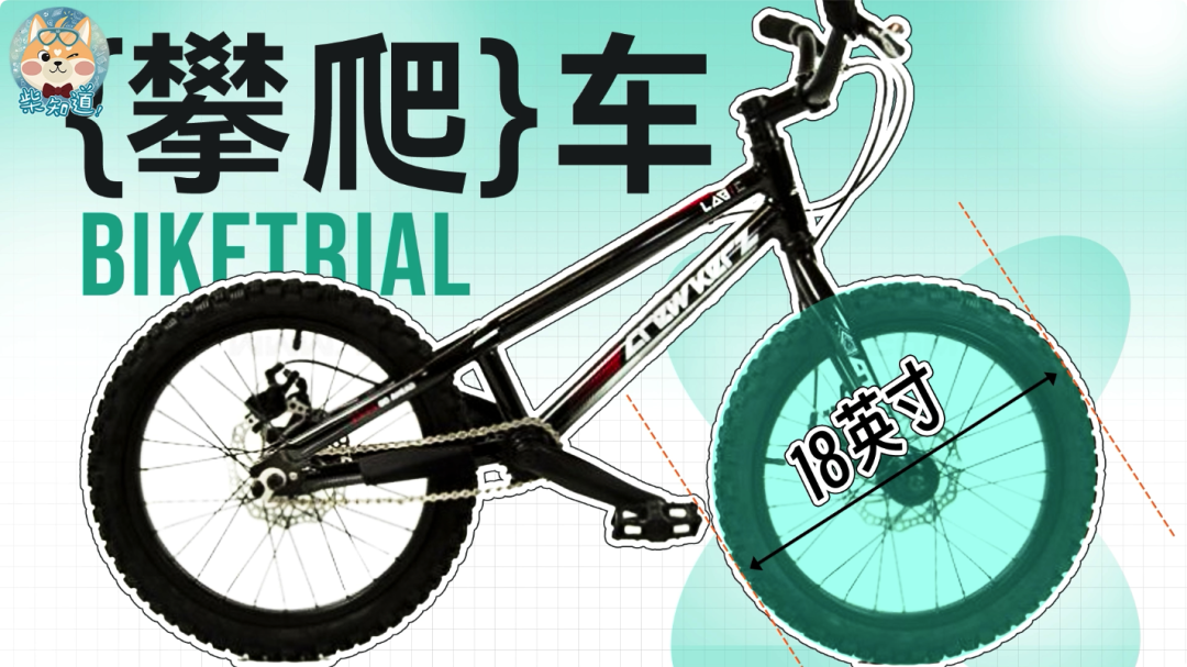 几百块和几万块的自行车有什么区别?贵的自行车贵在哪里?|图文(图19) 自行车打气大多数_死飞自行车要打气吗_自行车打气打到什么程度