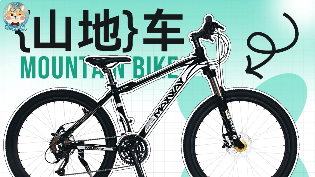 几百块和几万块的自行车有什么区别?贵的自行车贵在哪里?|图文(图3) 自行车打气大多数_死飞自行车要打气吗_自行车打气打到什么程度