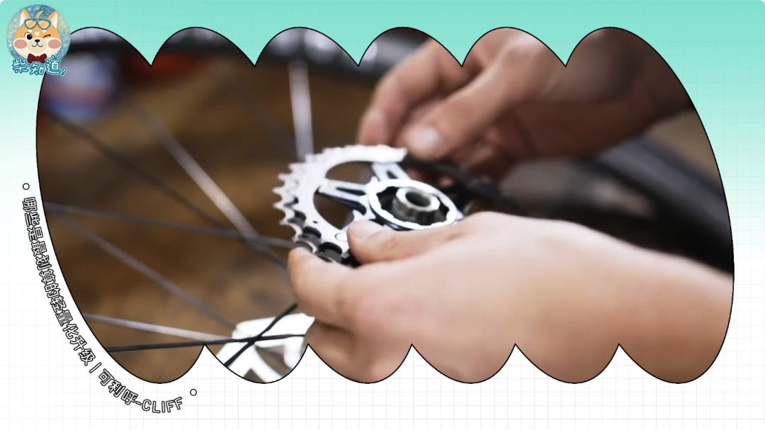 几百块和几万块的自行车有什么区别?贵的自行车贵在哪里?|图文(图21) 自行车打气大多数_死飞自行车要打气吗_自行车打气打到什么程度