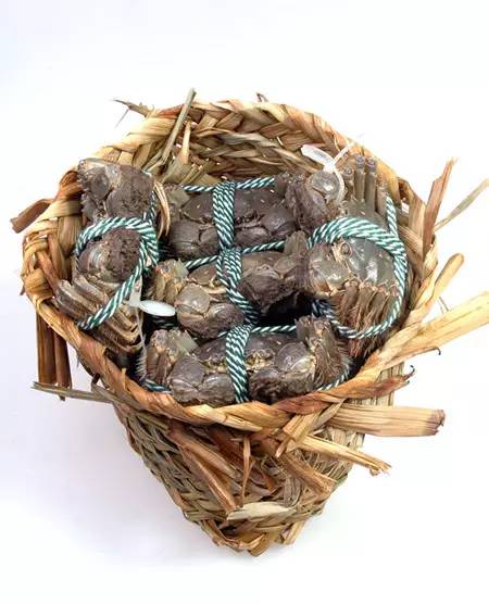 江苏13市的13种螃蟹吃法,从徐州开始,你觉得最好吃的是哪个?(图14) 蒜蓉豆豉美味蟹_蒜蓉豆豉酱的做法大全窍门_豆豉蟹怎么做好吃