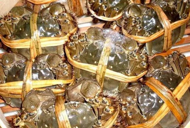 江苏13市的13种螃蟹吃法,从徐州开始,你觉得最好吃的是哪个?(图18) 豆豉蟹怎么做好吃_蒜蓉豆豉酱的做法大全窍门_蒜蓉豆豉美味蟹