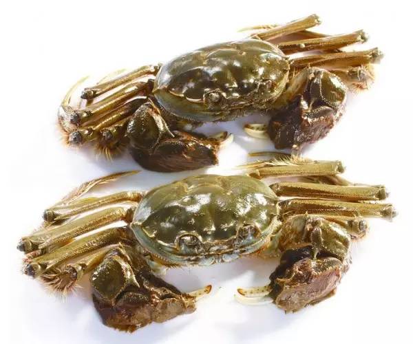 江苏13市的13种螃蟹吃法,从徐州开始,你觉得最好吃的是哪个?(图6) 蒜蓉豆豉美味蟹_蒜蓉豆豉酱的做法大全窍门_豆豉蟹怎么做好吃