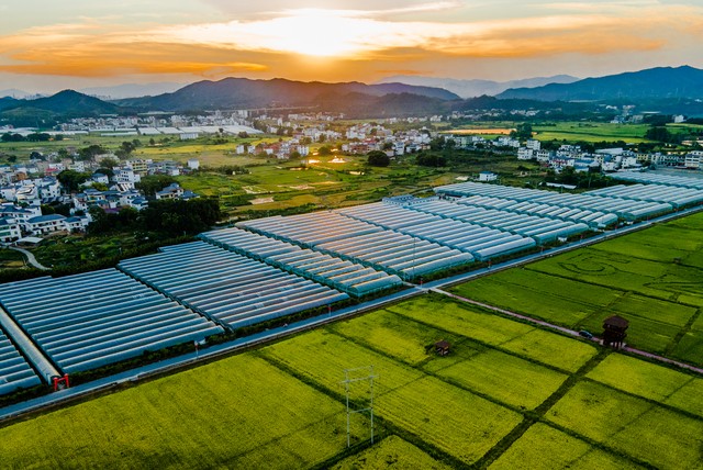 河南:从传统农业大省到乡村振兴新高地的华丽转身(图4) 河南农业报刊_河南农业大学新闻_河南农业新闻