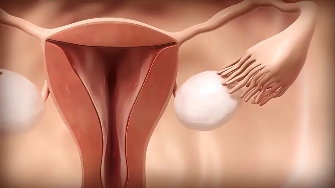 年龄女性绝经正常吗_女性什么年龄绝经_年龄女性绝经是多少岁