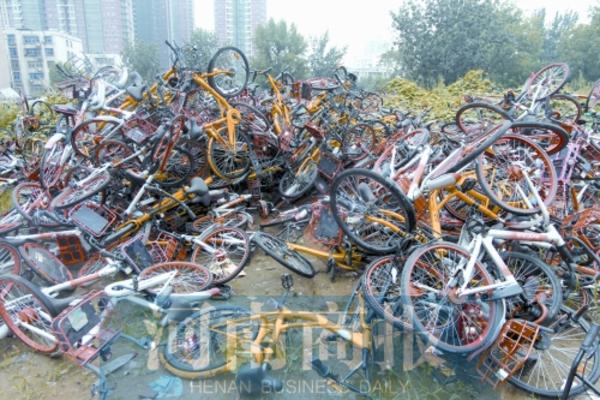 上海自行车协会_上海自行车协会目录查询_上海 自行车 协会