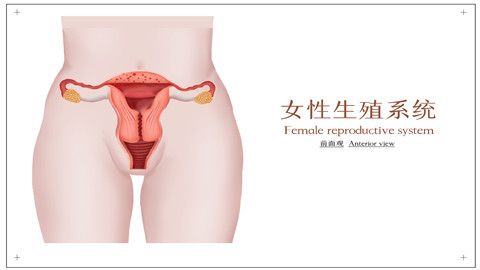 女尿失禁什么原因有三_女性尿失禁原因_女尿失禁什么原因引起的
