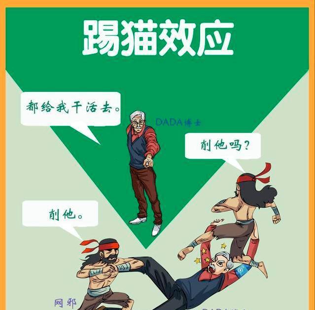 刺猬法则对人际关系的启示_人际交往中的刺猬理论_人际交往刺猬法则
