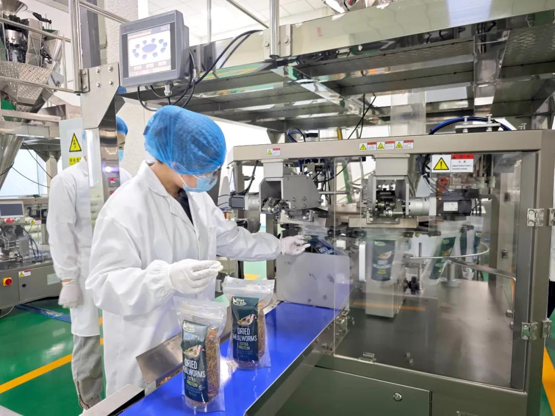 鼎欣科技怎么样_鼎欣科技开发有限公司_科技鼎欣有限开发公司官网