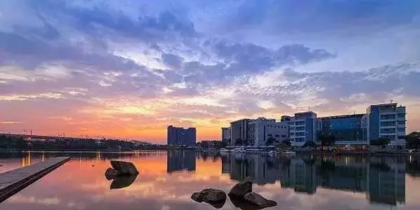 上海横沙岛旅游攻略_上海横沙岛旅游攻略自驾_上海横沙岛游玩攻略