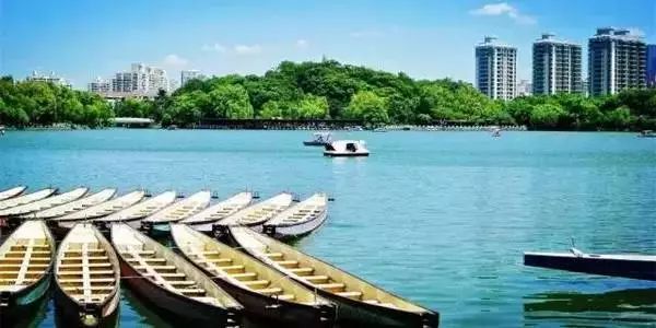 上海横沙岛游玩攻略_上海横沙岛旅游攻略_上海横沙岛旅游攻略自驾
