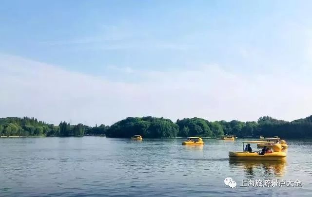 上海横沙岛旅游攻略自驾_上海横沙岛游玩攻略_上海横沙岛旅游攻略