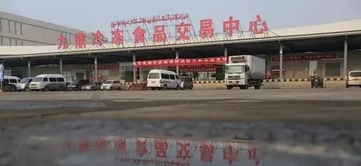 连云港海鲜干货批发_连云港海鲜干货价格_海鲜批发干货连云港店