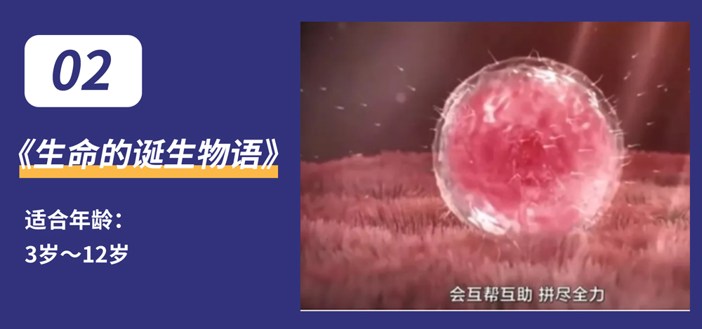 性教育短片视频_儿童性教育短片5分钟男孩_性教育短片男孩女孩区别