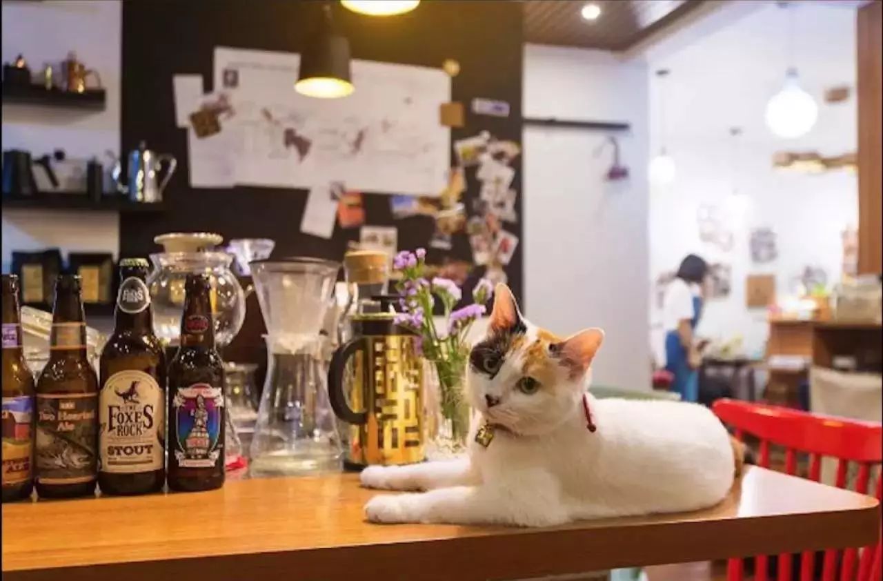 适合女生开店的项目_适合女生一个人开的店_女生店适合开个人小店吗
