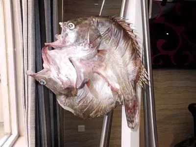 玫瑰肉菜小炒是哪里的菜_小炒玫瑰肉是哪里的菜_玫瑰肉菜小炒是什么菜