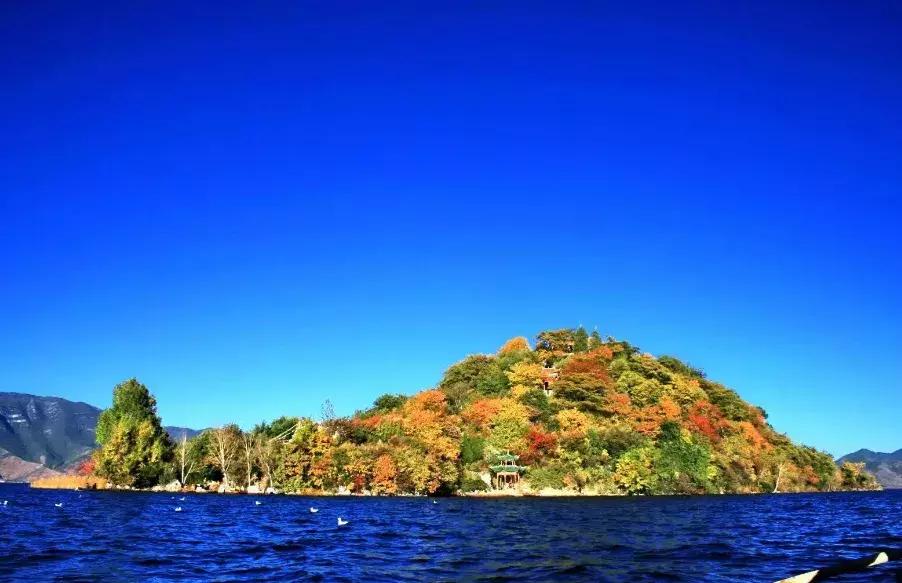 五层网红蛋糕图片_沪沽湖旅游攻略_亚洲龙有几种外观