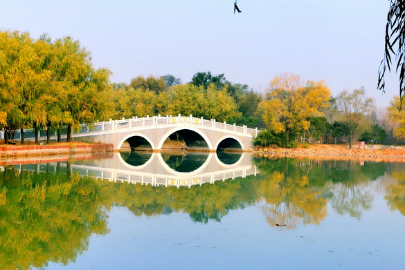 濮阳旅游景区_濮阳景区旅游攻略_濮阳旅游景点