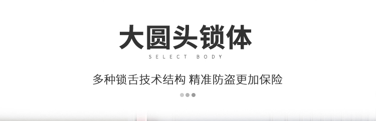 防盗门进户门家用入户门室内外出租房农村大门子母钢质工程单开门(图23)