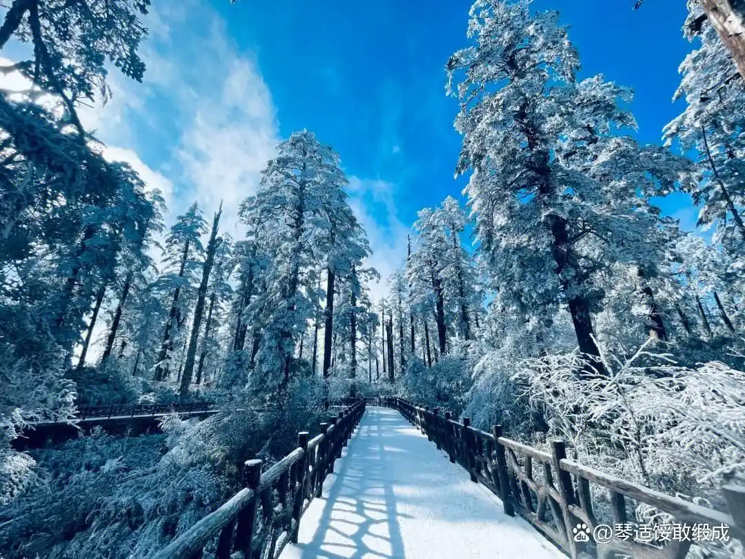 游玩天目湖感想_游玩感想天目湖的句子_天目湖旅游感想