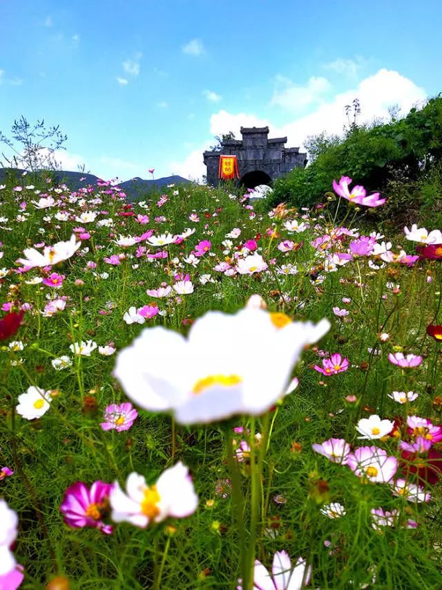 线路咸丰旅游线路图_咸丰旅游线路_咸丰旅游