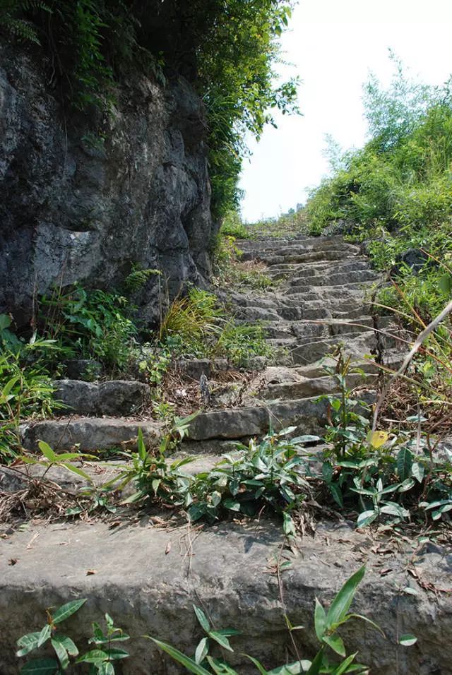 咸丰旅游_咸丰旅游线路_线路咸丰旅游线路图
