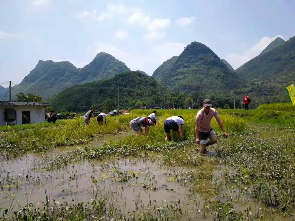 咸丰旅游_线路咸丰旅游线路图_咸丰旅游线路