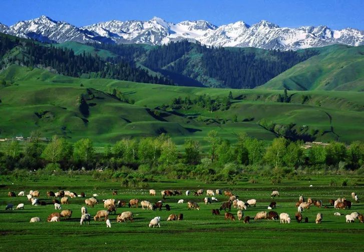 乡村游憩地_乡村游园_游憩型乡村景观