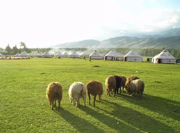 乡村游园_乡村游憩地_游憩型乡村景观