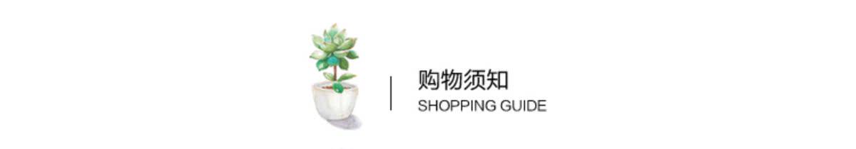 非标门入户门防盗门加高学校门安全子母门门户门进户门大门户入门(图20)
