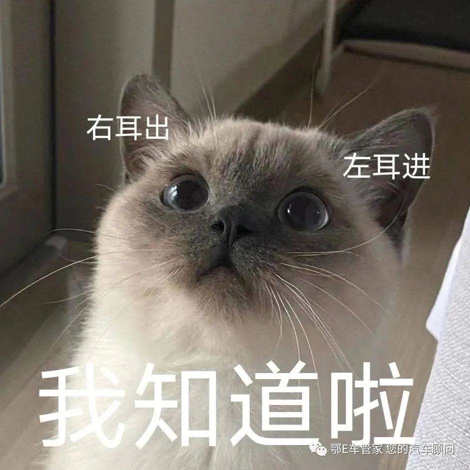 曲线行驶车头扫线合格吗_曲线行驶车身能扫线吗_曲线行驶扫线扣多少分