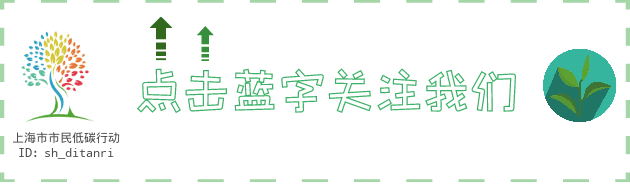 走路去上学,低碳生活我行动_低碳行走的好处有哪些_低碳生活步行