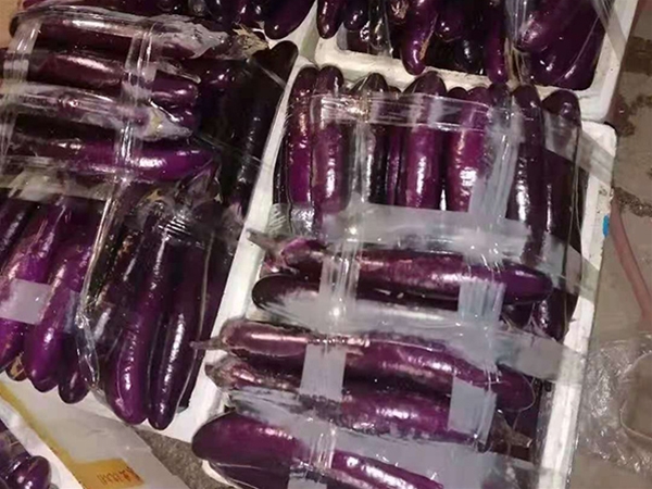 东莞大朗食堂蔬菜配送批发电话