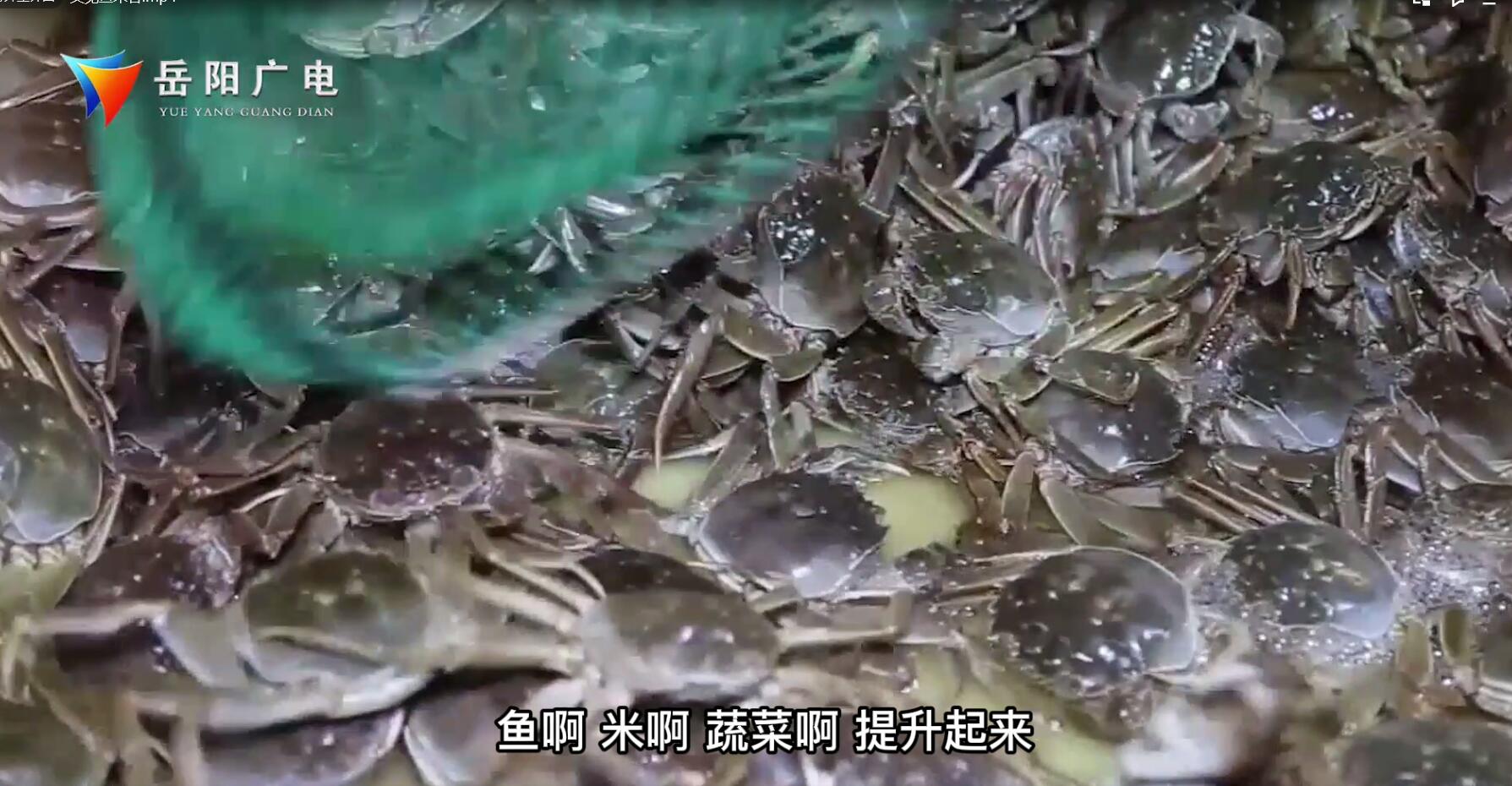 岳阳食尚坊订餐电话_岳阳旭园路食尚坊电话_岳阳食尚坊
