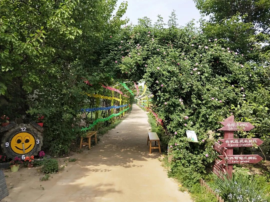 度假山庄酒店_十渡(七渡)葡萄园旅游度假山庄_山庄度假村