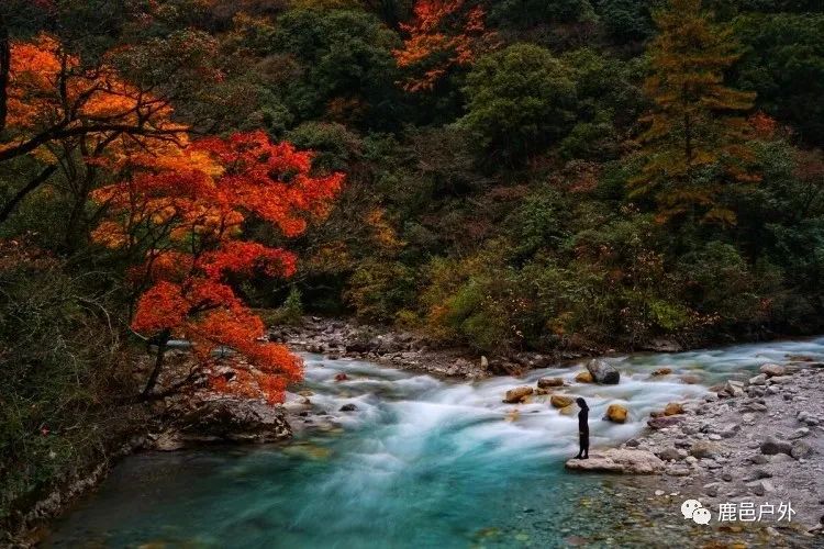 米亚罗毕棚沟旅游_米亚罗毕棚沟景区自助游_米亚罗毕棚沟旅游攻略