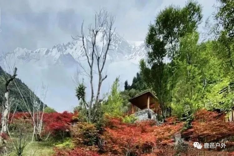 米亚罗毕棚沟景区自助游_米亚罗毕棚沟旅游攻略_米亚罗毕棚沟旅游