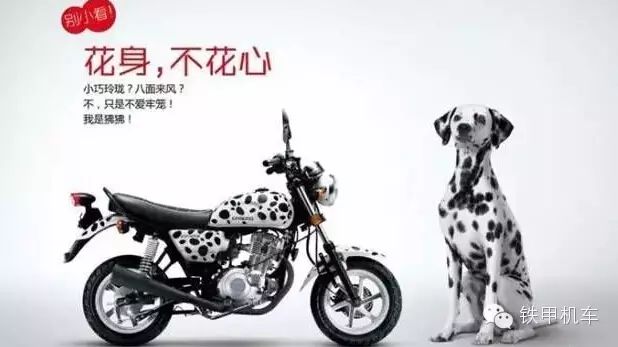 宝马巡航摩托_宝马最顶级巡航摩托车多少钱_宝马巡航摩托车用突破润滑油