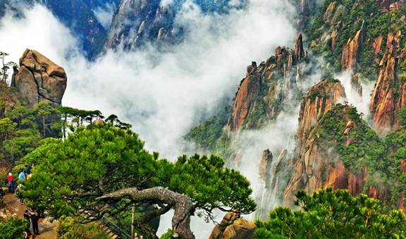 江西婺原生态旅游？_婺源生态保护_婺源生态旅游