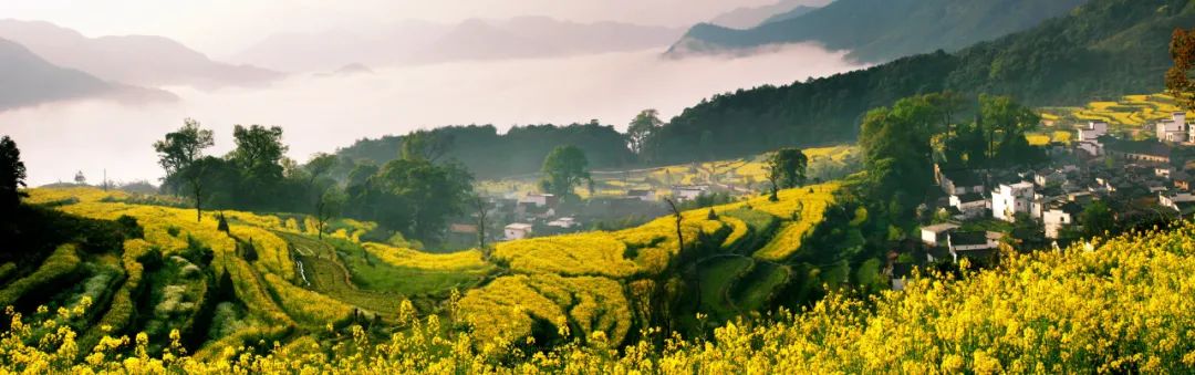 江西婺源旅游股份有限公司_婺源生态旅游_江西婺原生态旅游？
