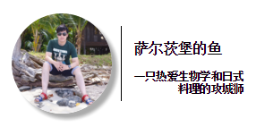 像拔蚌怎么吃_象拔蚌的做法窍门_拔蚌怎么吃法窍门
