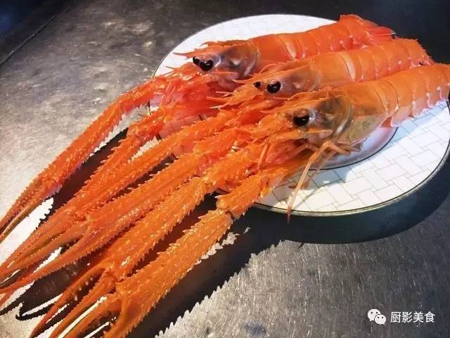澳洲龙虾生活习性_澳洲龙虾特征_澳洲龙虾生活在什么环境