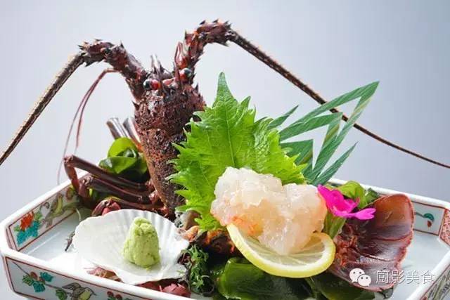 澳洲龙虾特征_澳洲龙虾生活在什么环境_澳洲龙虾生活习性